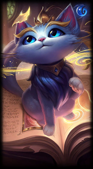 比赛过程中 比赛过程中