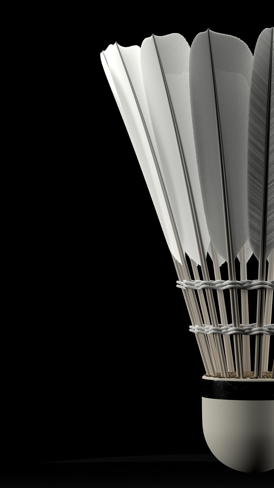 使他成为澳 使他成为澳